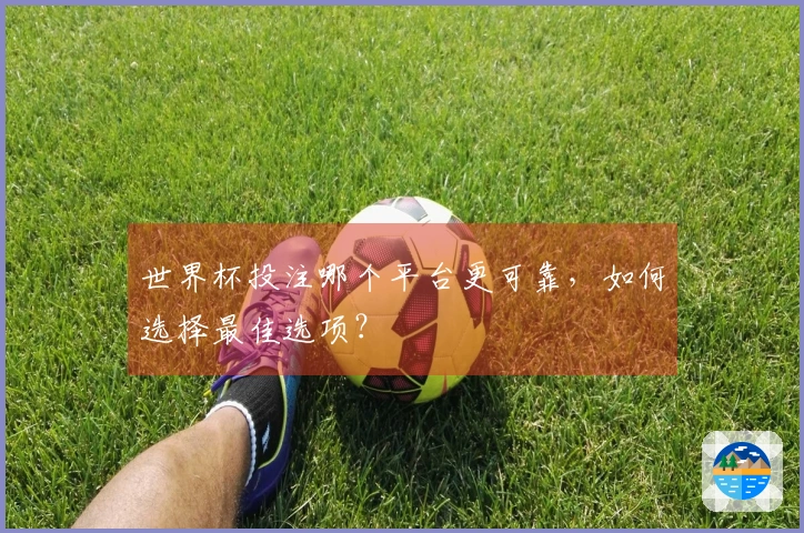 世界杯投注哪个平台更可靠,如何选择最佳选项?