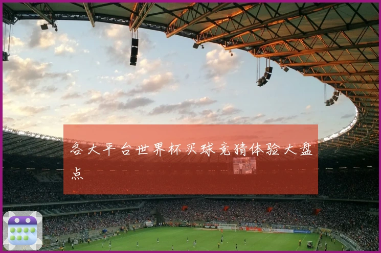 各大平台世界杯买球竞猜体验大盘点