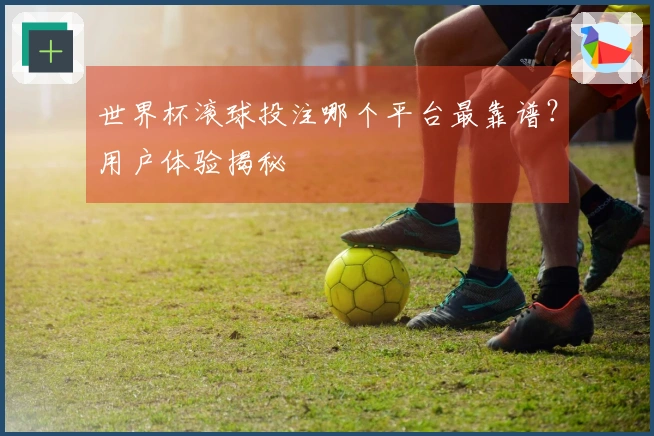 世界杯滚球投注哪个平台最靠谱？用户体验揭秘