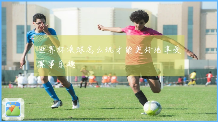 世界杯滚球怎么玩才能更好地享受赛事乐趣