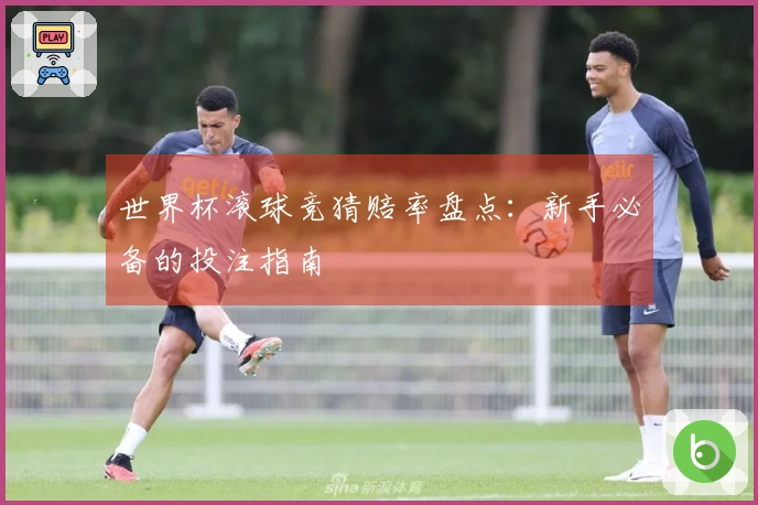 世界杯滚球竞猜赔率盘点：新手必备的投注指南